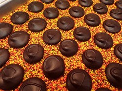 Autumn Nonpareils